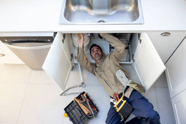 Best Toilet Repair Services  in Eaton Rapids, MI