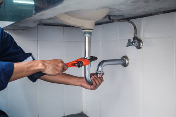 Best Commercial Plumbing Services  in Eaton Rapids, MI